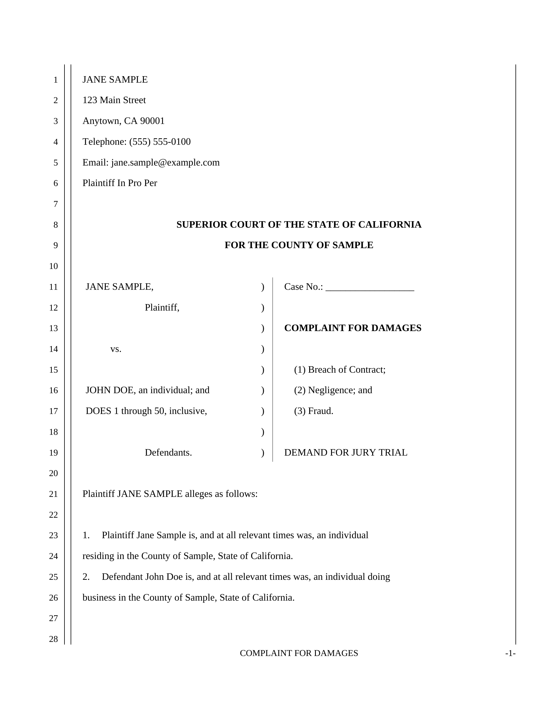 Sample MyGavel-generated complaint preview